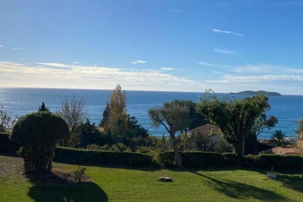 Studio Vue Mer Terrasse La Ciotat Eksteriør billede